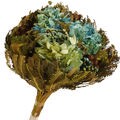 Buquê de Flores Secas - Hortênsia Cor:Azul Claro