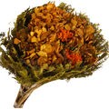 Buquê de Flores Secas - Hortênsia Cor:Laranja