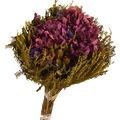 Buquê de Flores Secas - Hortênsia Cor:Lilás