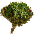 Buquê de Flores Secas - Hortênsia Cor:Verde Claro