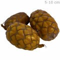 Buriti Desidratado 3 unid.