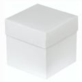 Caixa Cubo 10x10x10cm 10 Unidades Cores:Branca