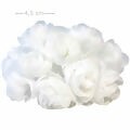 camelia-branco