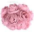 camelia-rosa-velho