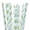 Canudo de Papel Cacto - pacote com 12 un.