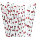 Canudo de Papel Melancia - pacote com 25 un.