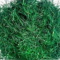 Capim Presépio 23gr
