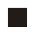 Sintex Cor 40g - 31 Preto 