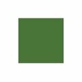 Sintex Cor 40g - 46 Verde Musgo