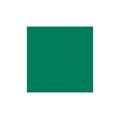 Sintex Cor 40g - 20 Verde