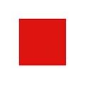 Sintex Cor 40g - 09 Vermelho