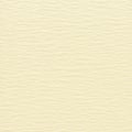 Papel Crepom Parafinado Reipel 2m x 48cm Cores:Champagne