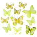 Borboleta Decorativa 12 unid. Ref. T-13 Cor:Amarelo