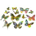 Borboleta Decorativa 12 unid. Ref. F-262-12