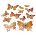 Borboleta Decorativa Holográfica 12 unid. Ref. T-12 Cor:Laranja