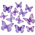 Borboleta Decorativa 12 unid. Ref. T-13 Cor:Roxo