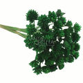 Espeta Nariz  Verde - Flor Seca para Decoração