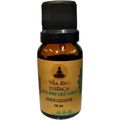 Essência 15ml Concentrada (não comestível) Fragrância:Alecrim Chá Verde