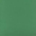 EVA - 10 folhas EVA LISO:VERDE BANDEIRA
