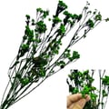 Flor Seca Desidratada - Chuvisco