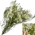 Flor Seca Desidratada - Gypsophila