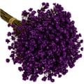 Sempre Viva Especial Cores:Roxo