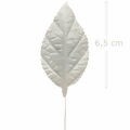Folha de Rosa 60 unid. Branco - 6B