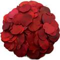 Folha Moeda  Vermelho