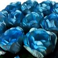 Forminha de Doce em Papel Manteiga BEAUTY - 24 unid. - Azul Tifany