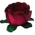 Forminha de Doce em Papel Manteiga BEAUTY - 24 unid. - Vermelho