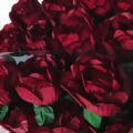 Forminha de Doce em Papel Manteiga BEAUTY - 24 unid. - Vermelho