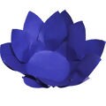 Forminha de Doce Folha Dupla em Cartolina 40 unid. - Azul Escuro