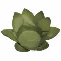 Forminha de Doce Folha Dupla em Cartolina 40 unid. - Verde Pistache
