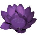 Forminha de Doce Folha Dupla em Cartolina 40 unid. - Roxo