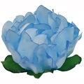 Forminha de Doce Rosa Maior em Papel Manteiga - 30 unid. - Azul Bebê