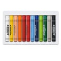 Giz Acrilex Oil Pastels 12 unidades