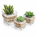 kit Mini Vasos de Vidro - 7x7,5cm - 6x6cm - 5x5cm