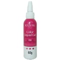 Corante Gel Alimentício Concentrado Iceberg Chef 60gr Cores:Pink