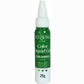 Corante Gel Alimentício Concentrado Iceberg Chef 25gr Cores:Verde Bandeira