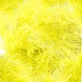 marabu-amarelo