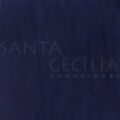 Meia de Seda Lisa  Azul Marinho