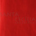 Meia de Seda Lisa  Vermelho
