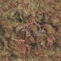 Musgo Sphagnum - 30g