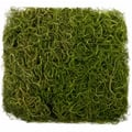 Kit Musgo Barba de Velho 24g 10 unid.