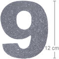 Número em EVA Glitter Prata - 9