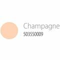 Paint Draw 300ml. 170 Champagne