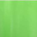 Papel de Seda Verde Claro  - 100 folhas