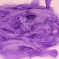 pena-100g-lilas-mdy