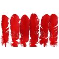 pena-peru-g4-vermelho-fmdy