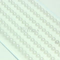 perola5mm-branca-per-br-5mdy